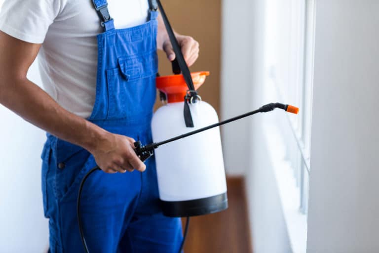 Need help with pest control in College Station? Call the professionals